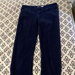 Navy Blue Lauren Conrad Corduroy Pants